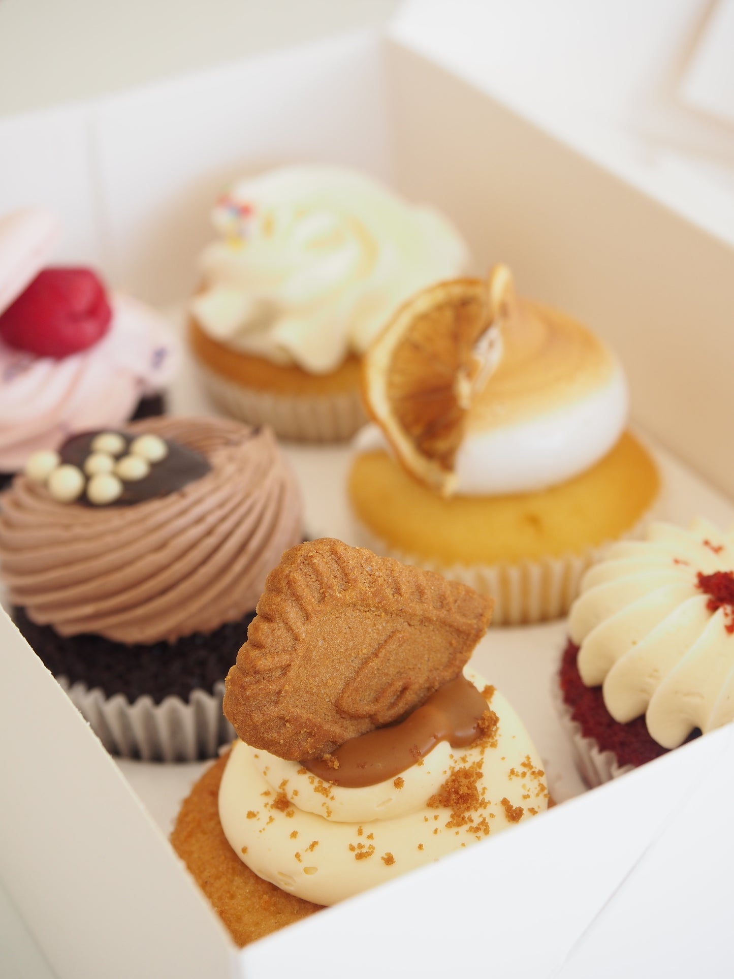 Mixed Cupcake Pack - Cafe Favourites